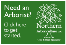 Need an Arborist? Click here to get started